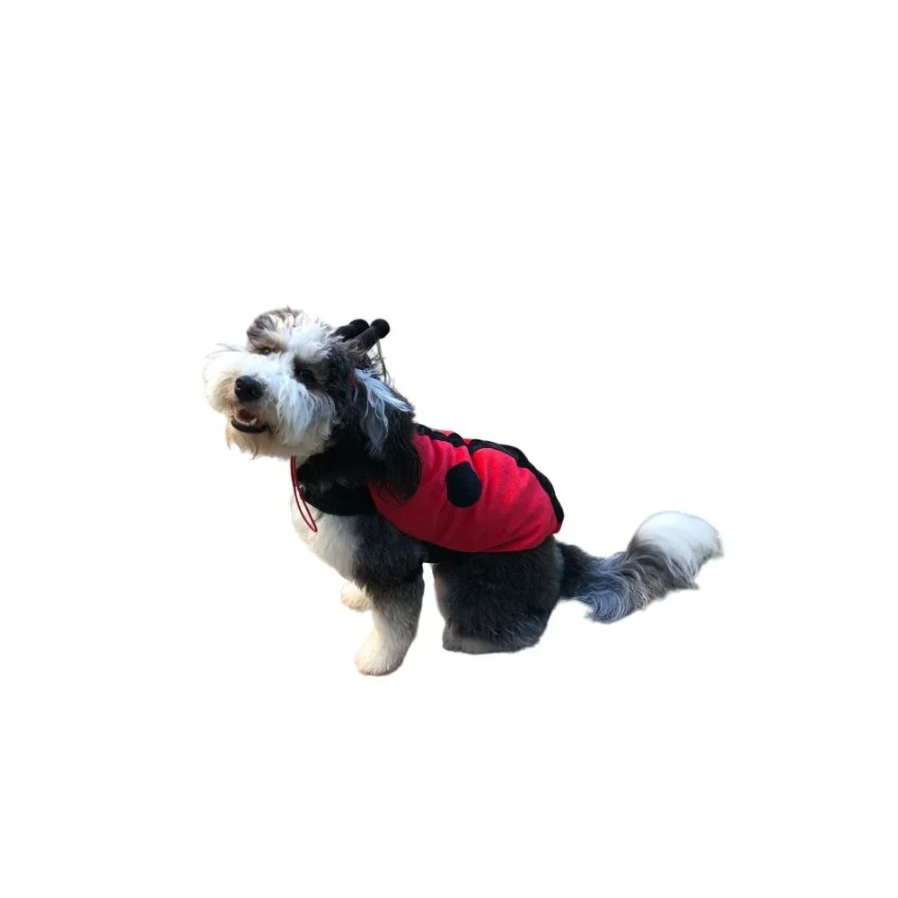 Target‎ Ladybug Dog Costume Size Large 18 inch Halloween 2 Piece Lady Bug Red